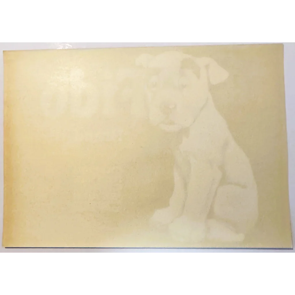 Adorable Pup Steals Hearts on Vintage 1930s Fido Crate Label