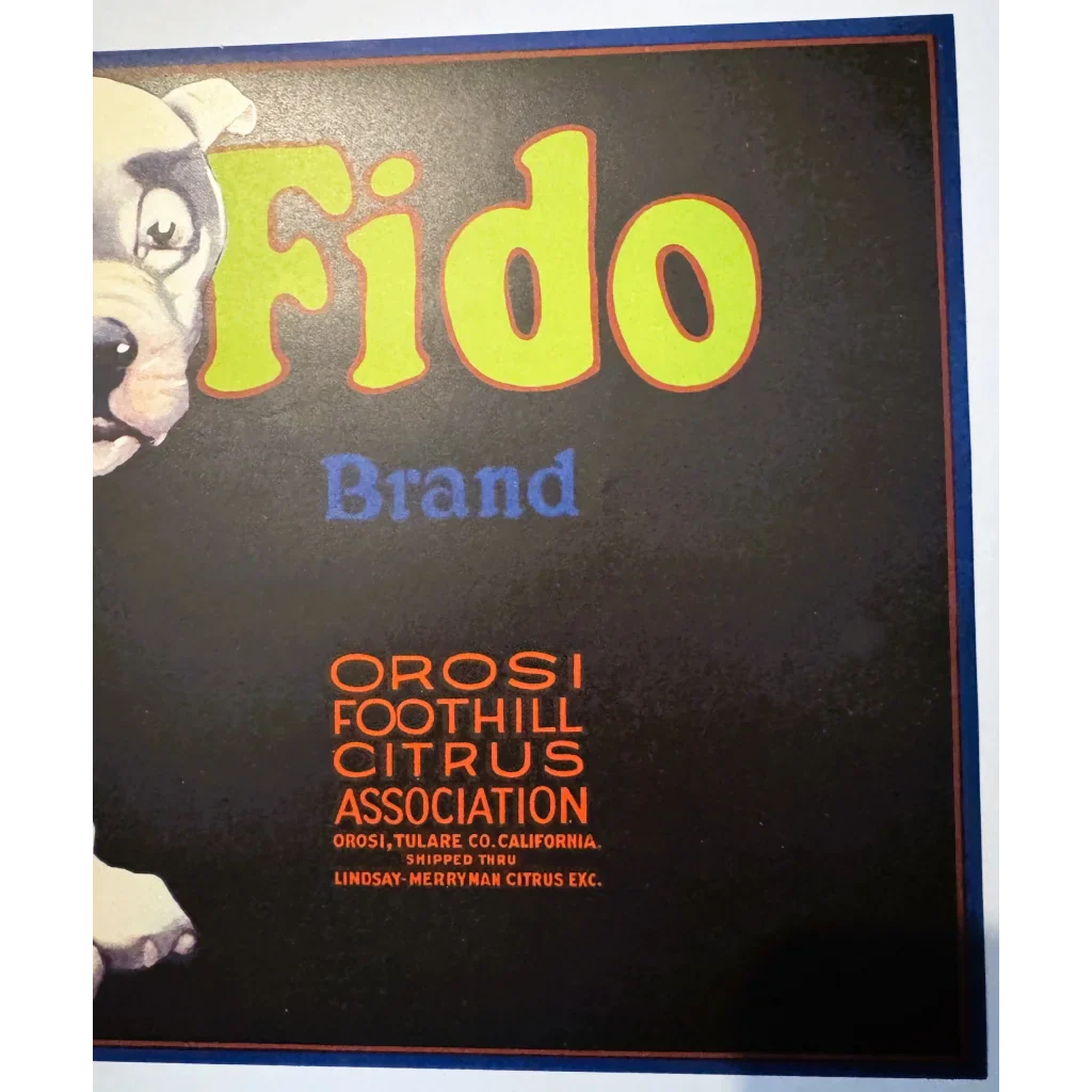 Adorable Pup Steals Hearts on Vintage 1930s Fido Crate Label