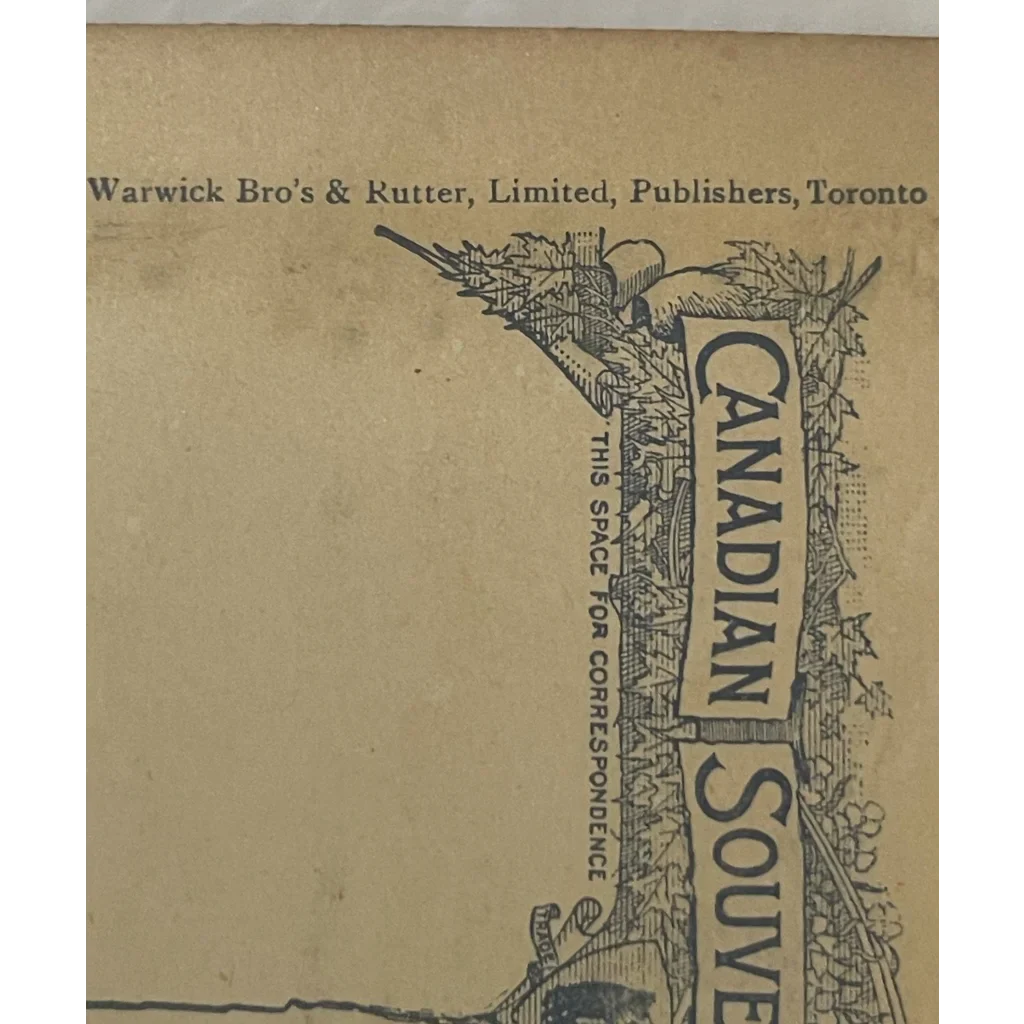 Rare 1800s Limited Edition Niagara Falls Postcard Treasure