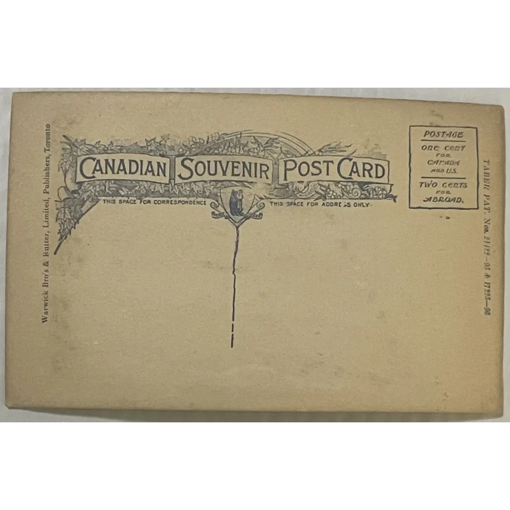 Rare 1800s Limited Edition Niagara Falls Postcard Treasure