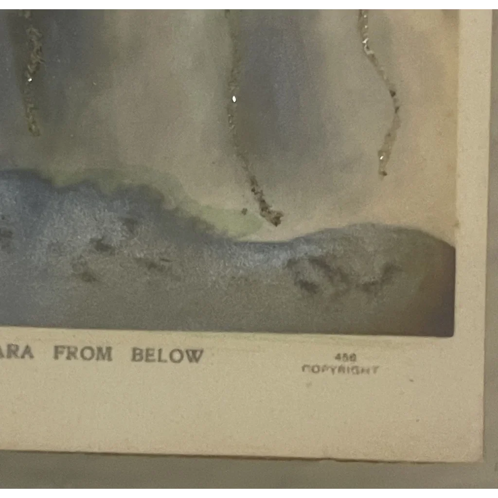 Rare 1800s Limited Edition Niagara Falls Postcard Treasure