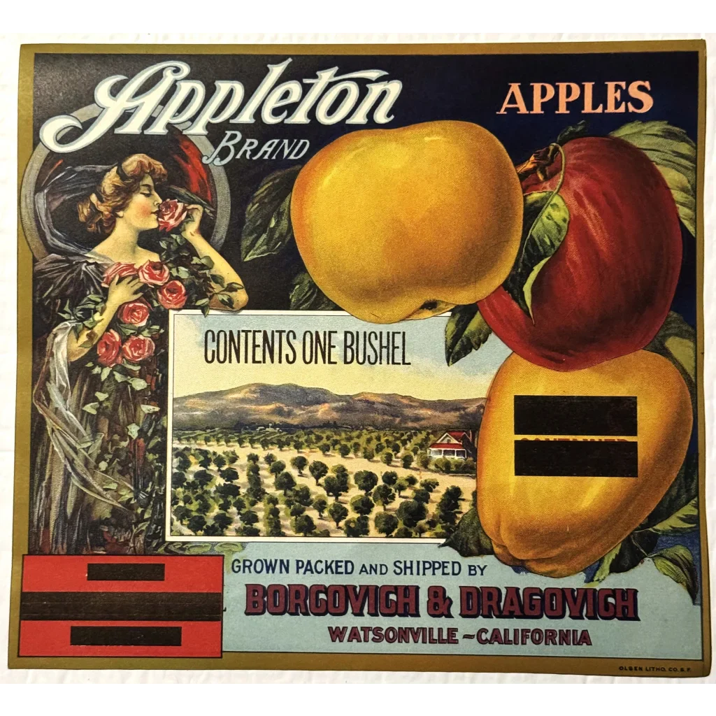 Rare 1920s Appleton Crate Label Brings Vintage Charm to Life