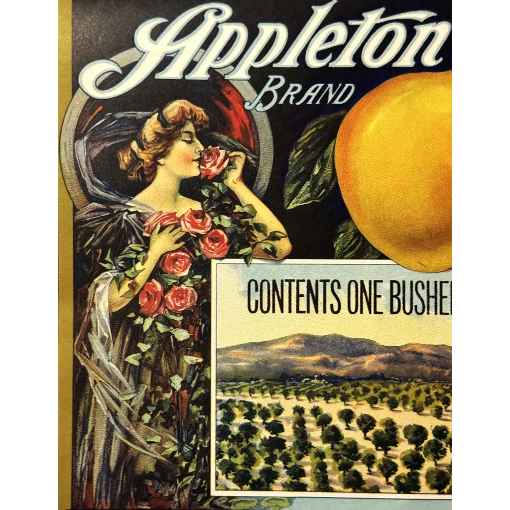 Rare 1920s Appleton Crate Label Brings Vintage Charm to Life