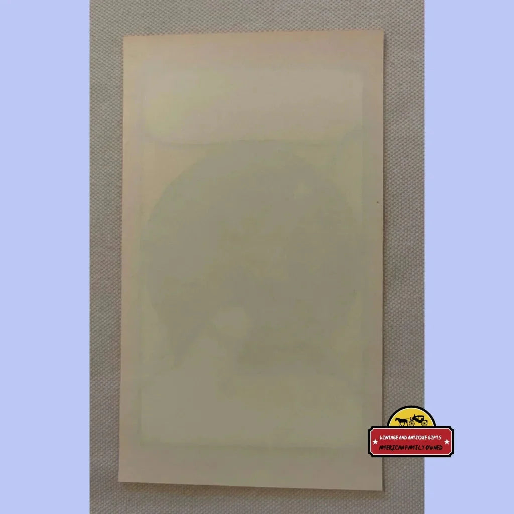 Rare Antique Vintage Parrot Broom Label Brings 1920s Charm