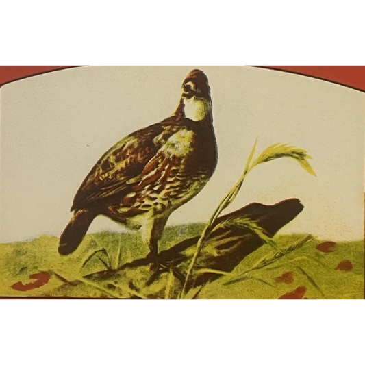 Rare Antique Bob White Crate Label From 1930s Pennsylvania Farm