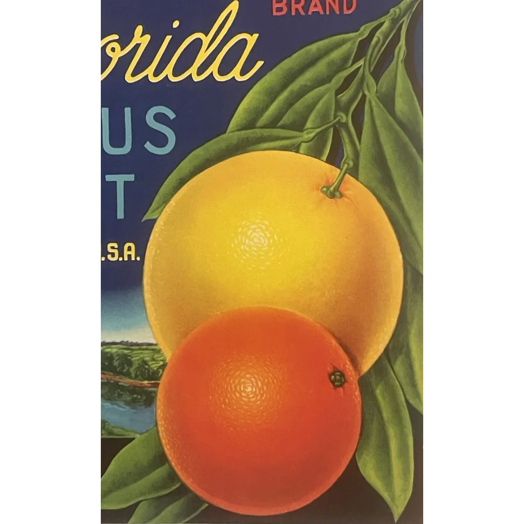 Rare Antique Vintage Eureka Crate Label Native American Florida Art