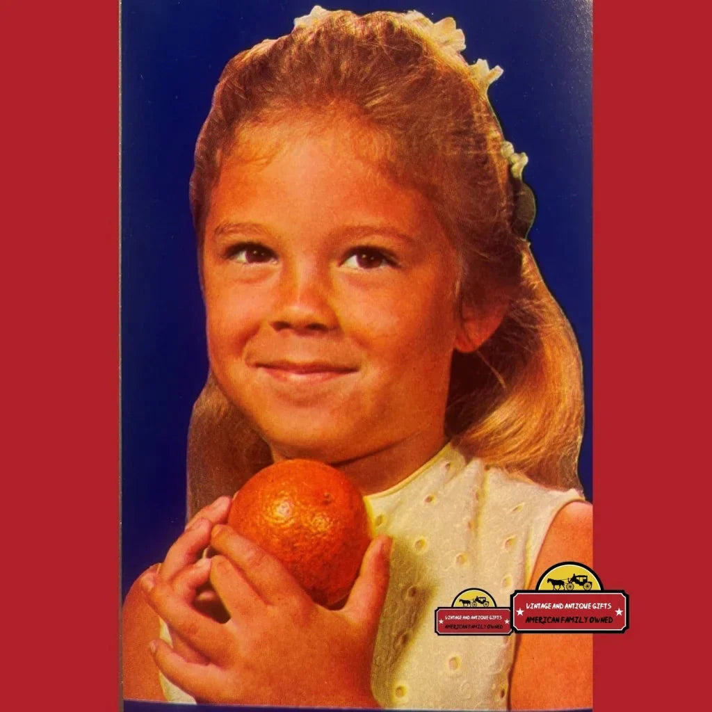 Rare 1940s Antique Vintage Dolly Crate Label from Florida