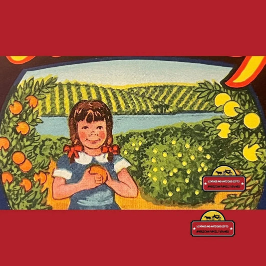 Rare Antique Vintage Florida Girl Crate Label from 1930s Weirsdale