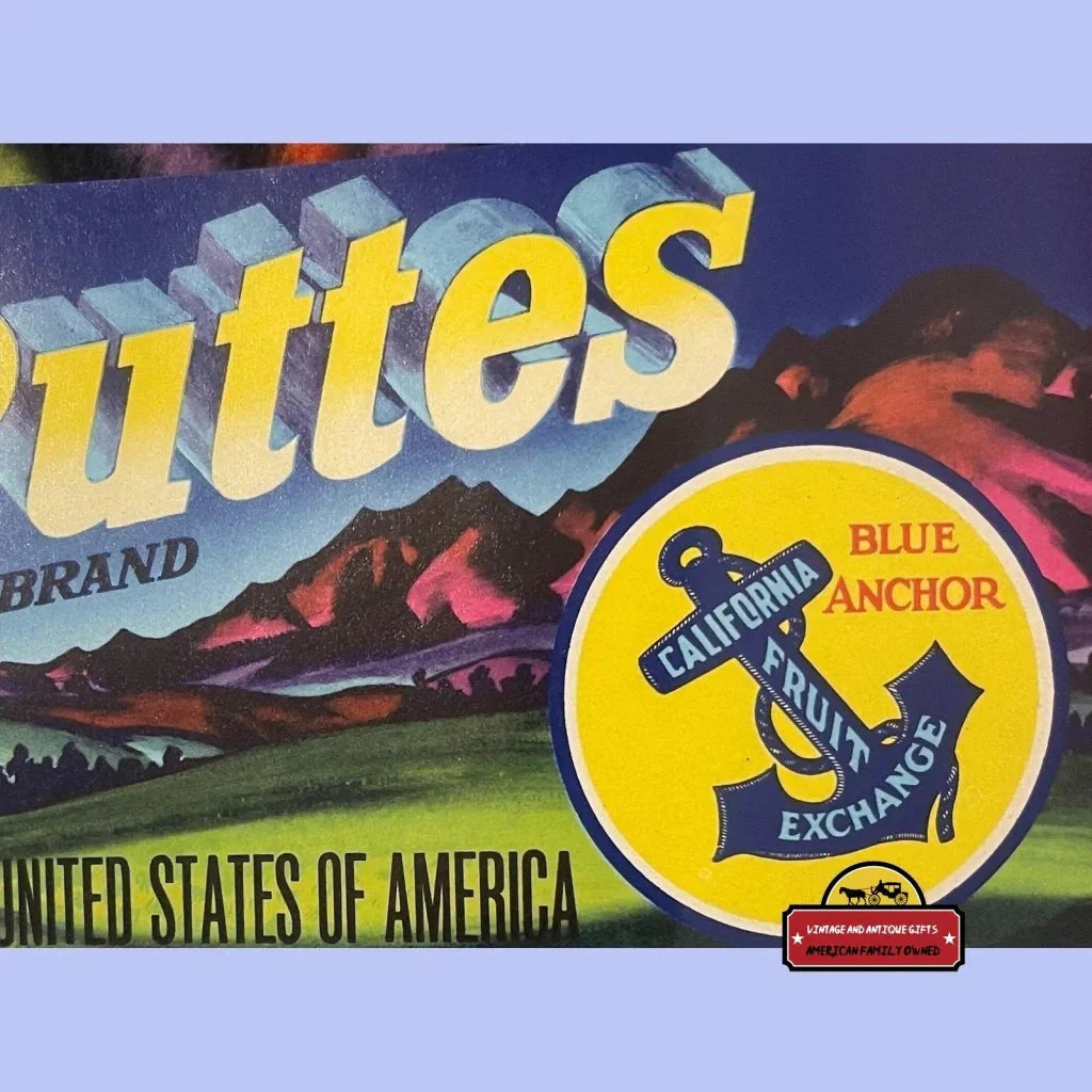 Rare Antique Vintage Sutter Buttes Crate Label from 1950s California