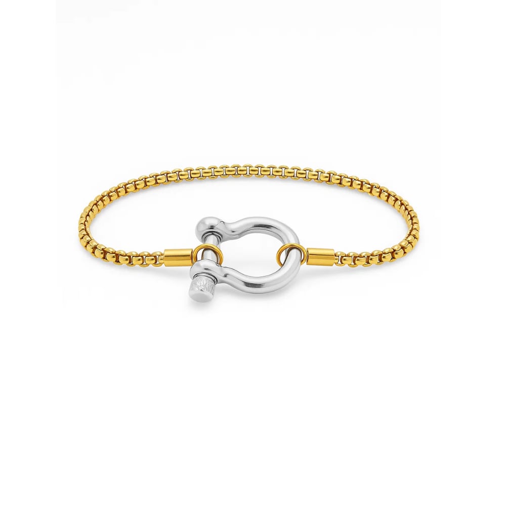 The Lucky Lock Horseshoe Carabiner Clasp Bracelet