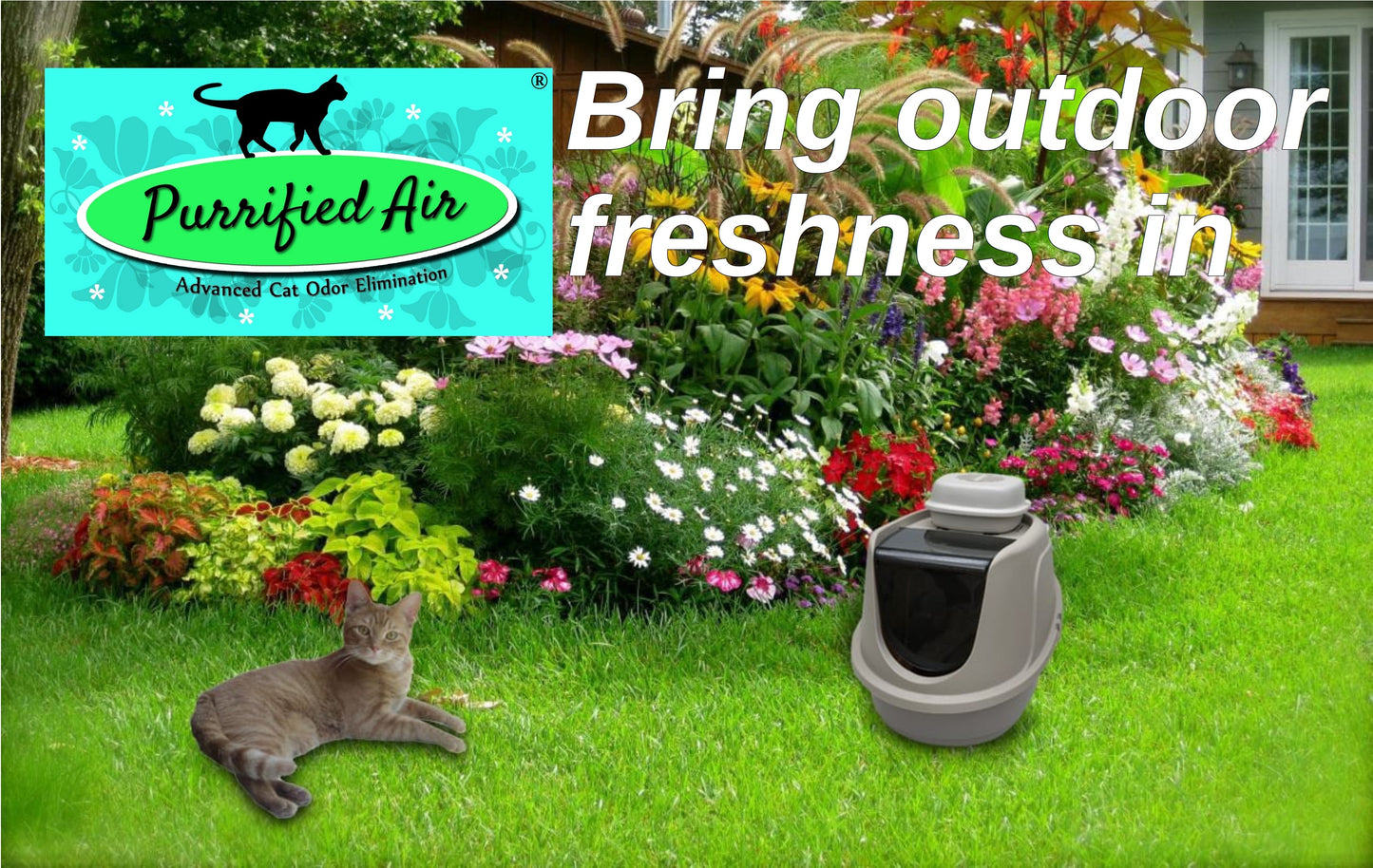 Air Purifier + Dome Adapter Bundle