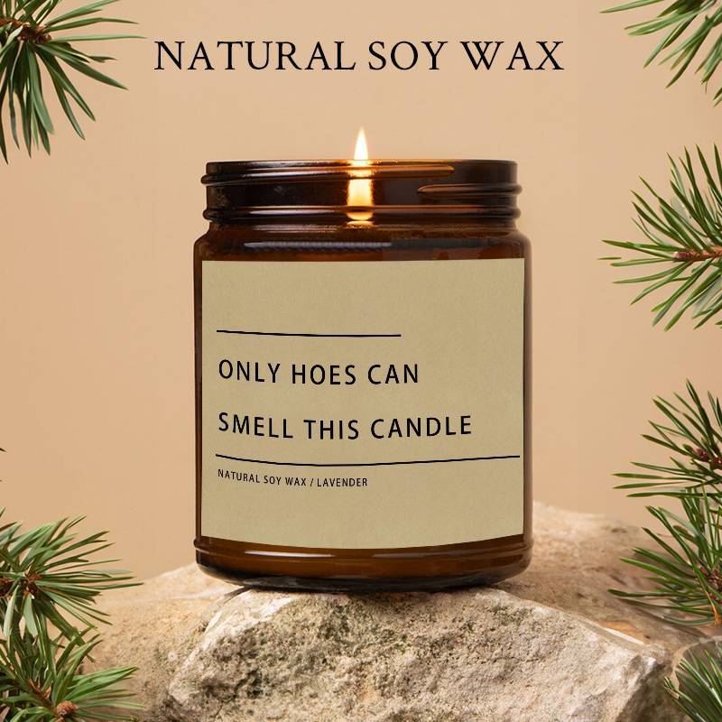 Funny Only Hoes Can Smell This Candle Perfect Funny Novelty Gag Gifts Scented Candle, Perfect Scented for Home, Lavender Scented Candle Ideal for Home Aromatherapy & Meditation, Perfect Gift for Men Him Friends Guys Classmate