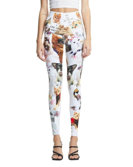 I Like Cats and So Do You Leggings