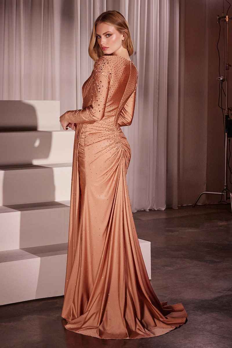 Fitted Ruched Gown : Long Sleeve