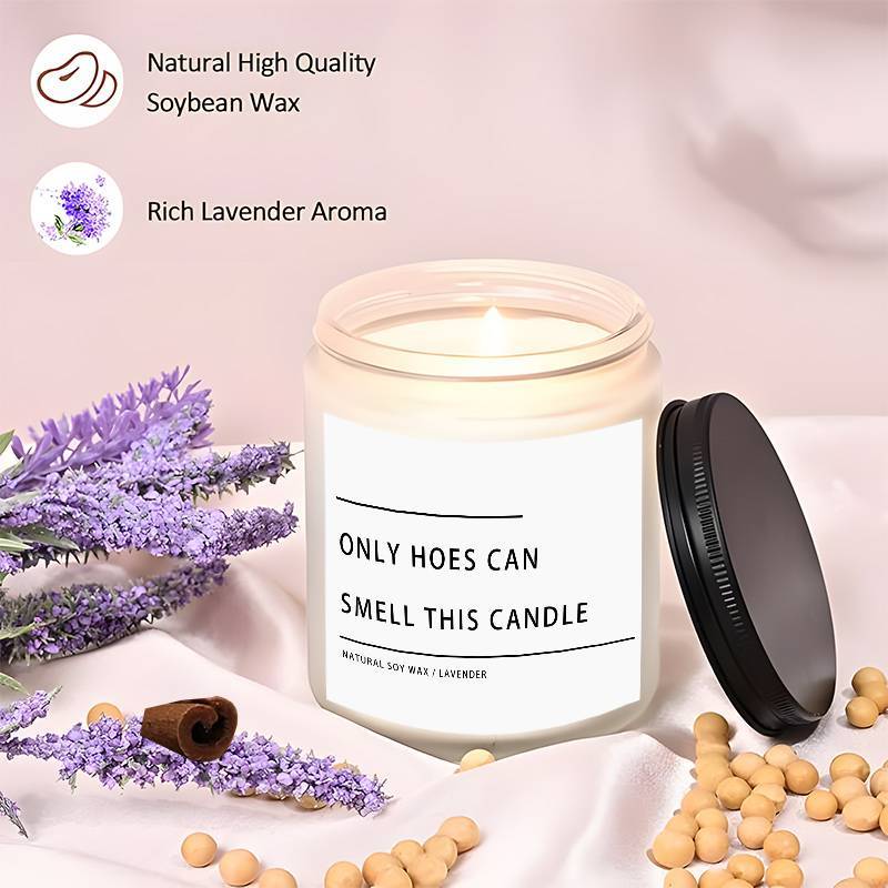Funny Only Hoes Can Smell This Candle Perfect Funny Novelty Gag Gifts Scented Candle, Perfect Scented for Home, Lavender Scented Candle Ideal for Home Aromatherapy & Meditation, Perfect Gift for Men Him Friends Guys Classmate