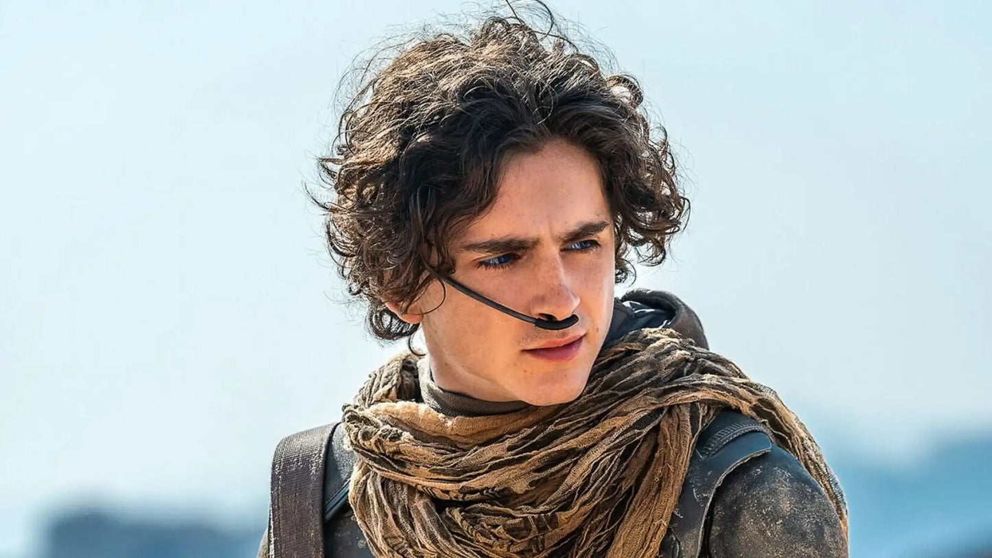 Dune: Part Two (DVD)