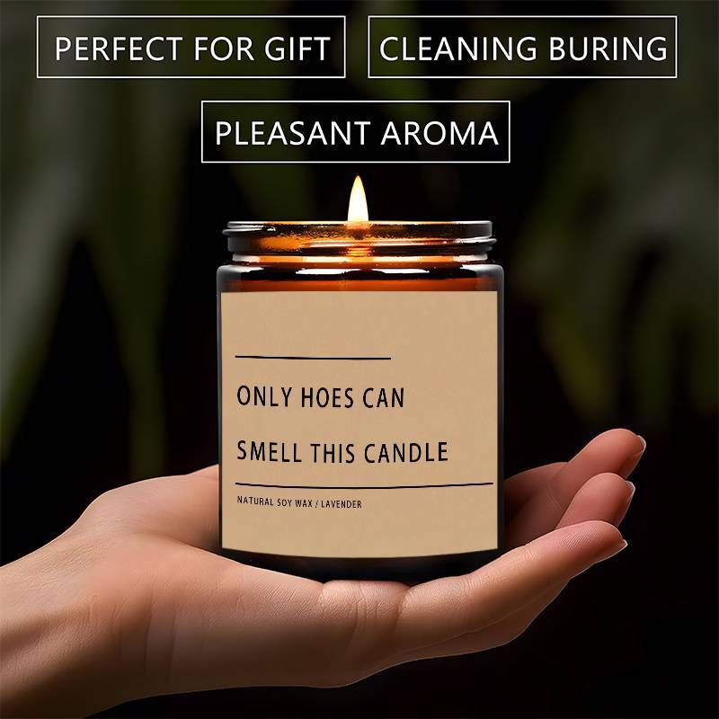 Funny Only Hoes Can Smell This Candle Perfect Funny Novelty Gag Gifts Scented Candle, Perfect Scented for Home, Lavender Scented Candle Ideal for Home Aromatherapy & Meditation, Perfect Gift for Men Him Friends Guys Classmate