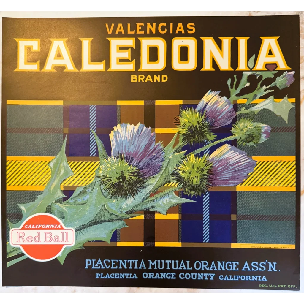 Discover the Rare 1930s Caledonia Orange Crate Label
