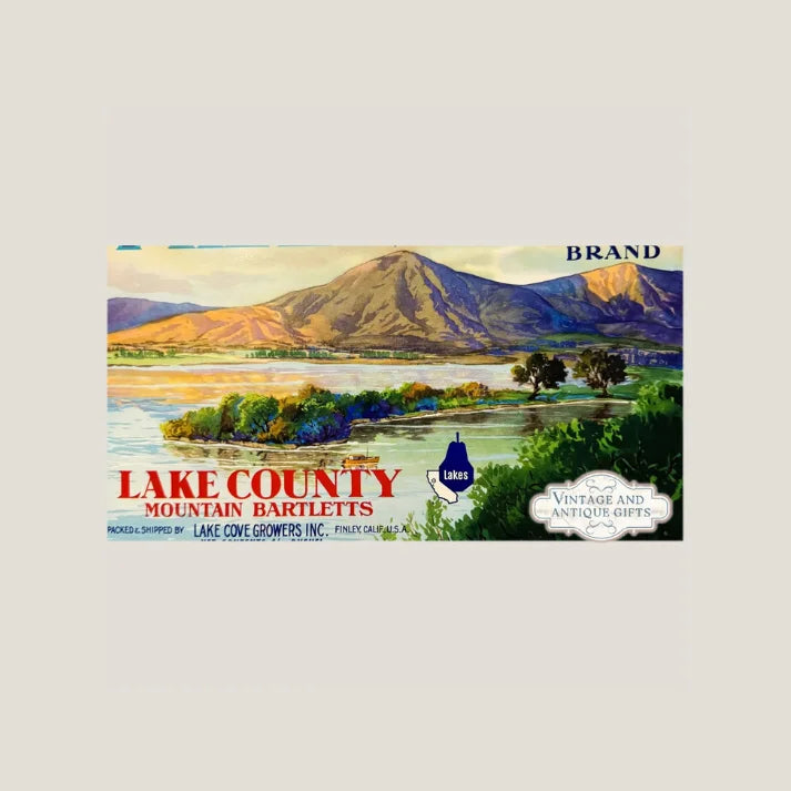 Discover the Vibrant Pirate's Cove Crate Label from 1950s California