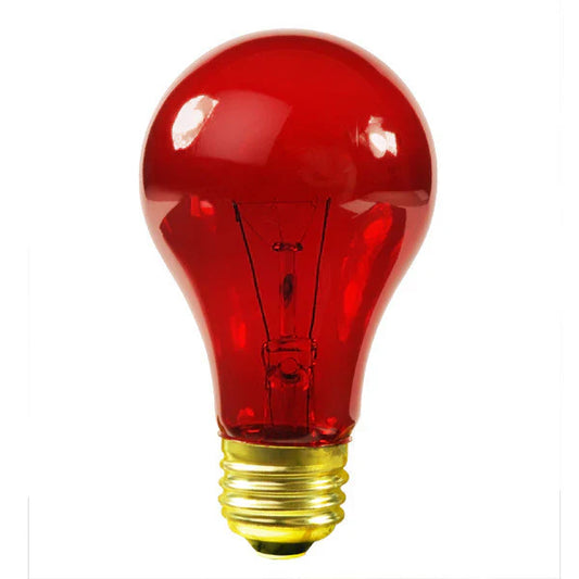 Incandescent Night Red Heat Bulb 100 Watt