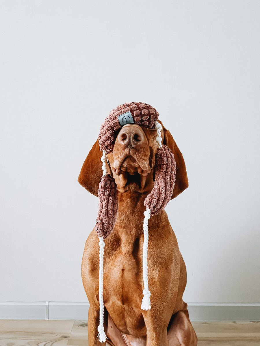 Pet Toy - Long Sausages