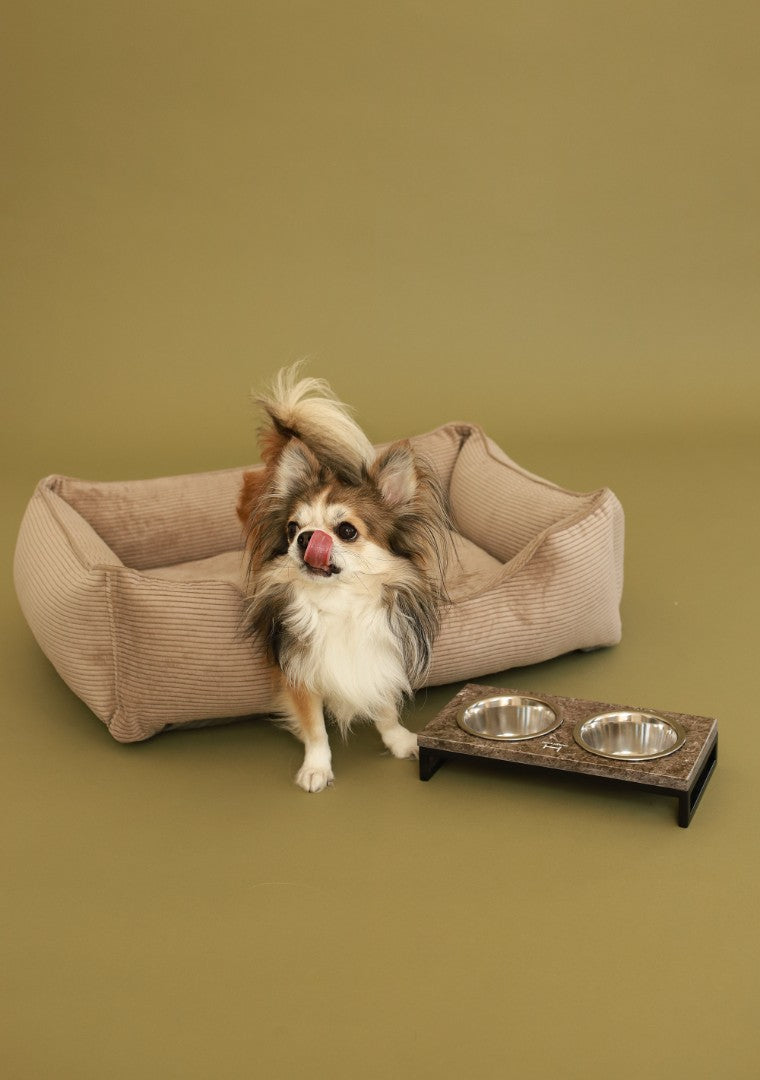 Corduroy Dog Bed Dreamer