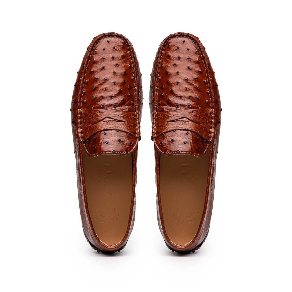 33-100-BDY MONZA Ostrich Quill Driver, Brandy