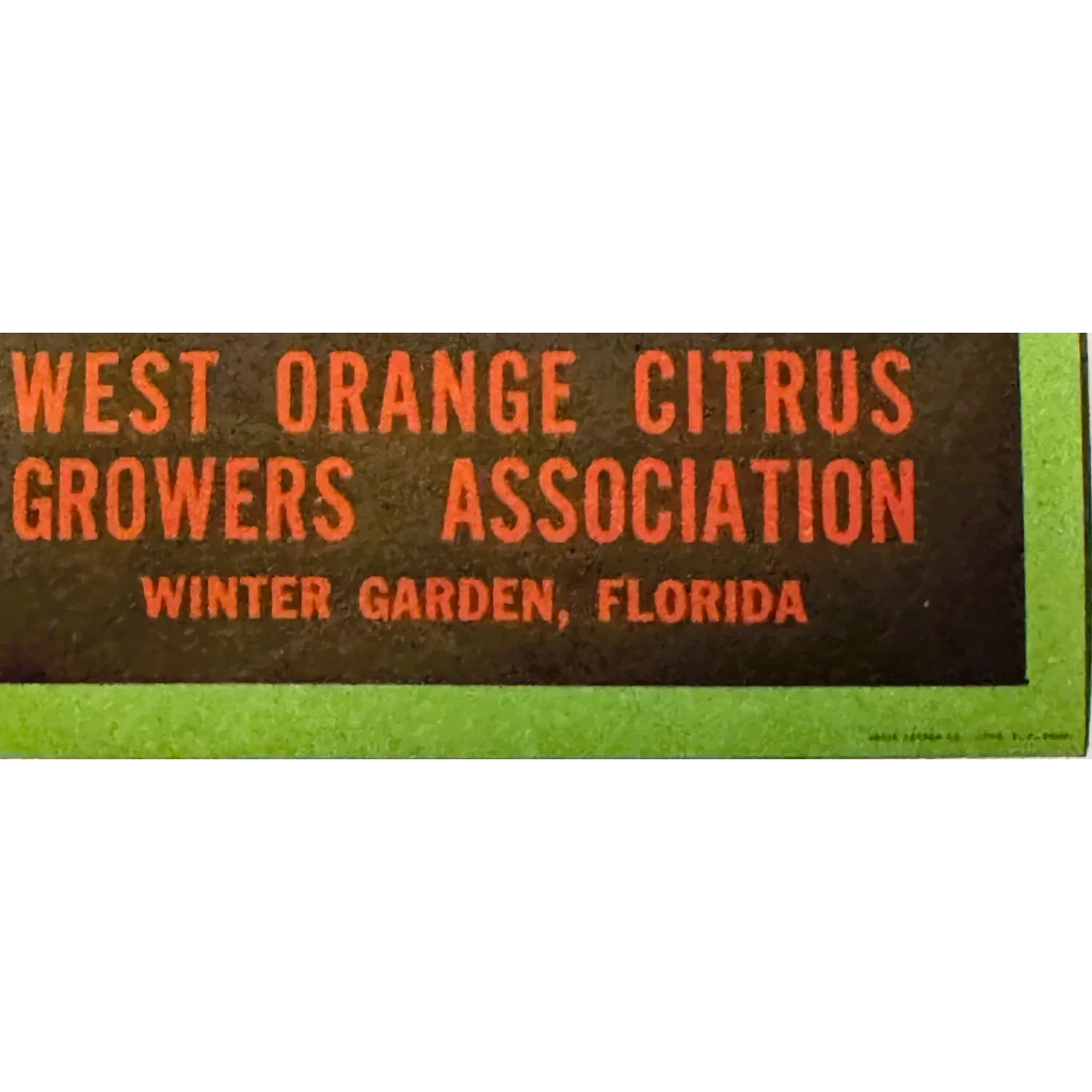 Moonlit Owl Graces Vintage Florida Citrus Crate Label