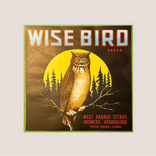 Moonlit Owl Graces Vintage Florida Citrus Crate Label