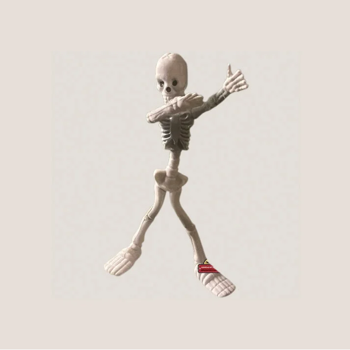 Nostalgic I Spy Poseable Skeleton Toy Brings Back Memories