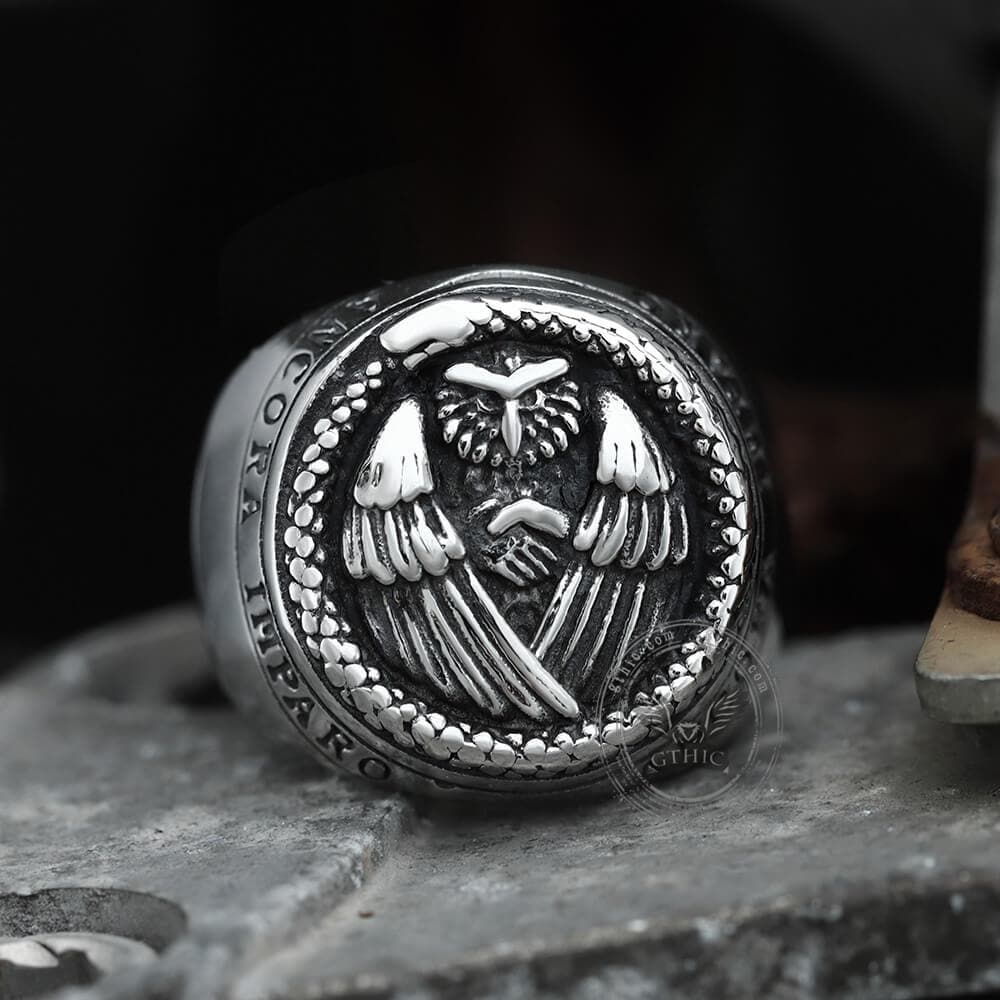 Owl And Ouroboros Stainless Steel Ring