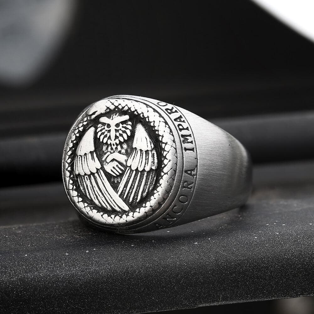 Owl And Ouroboros Stainless Steel Ring