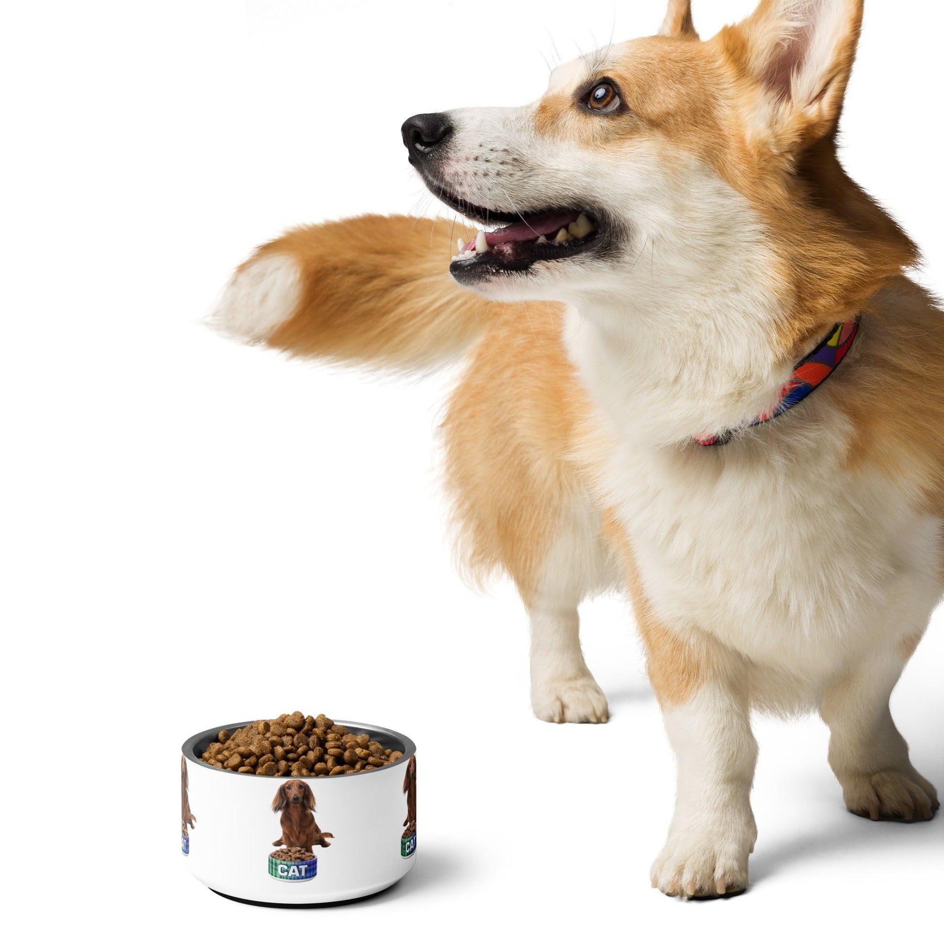 Dog With A Cat Bowl! Pet bowl - Lizard Vigilante