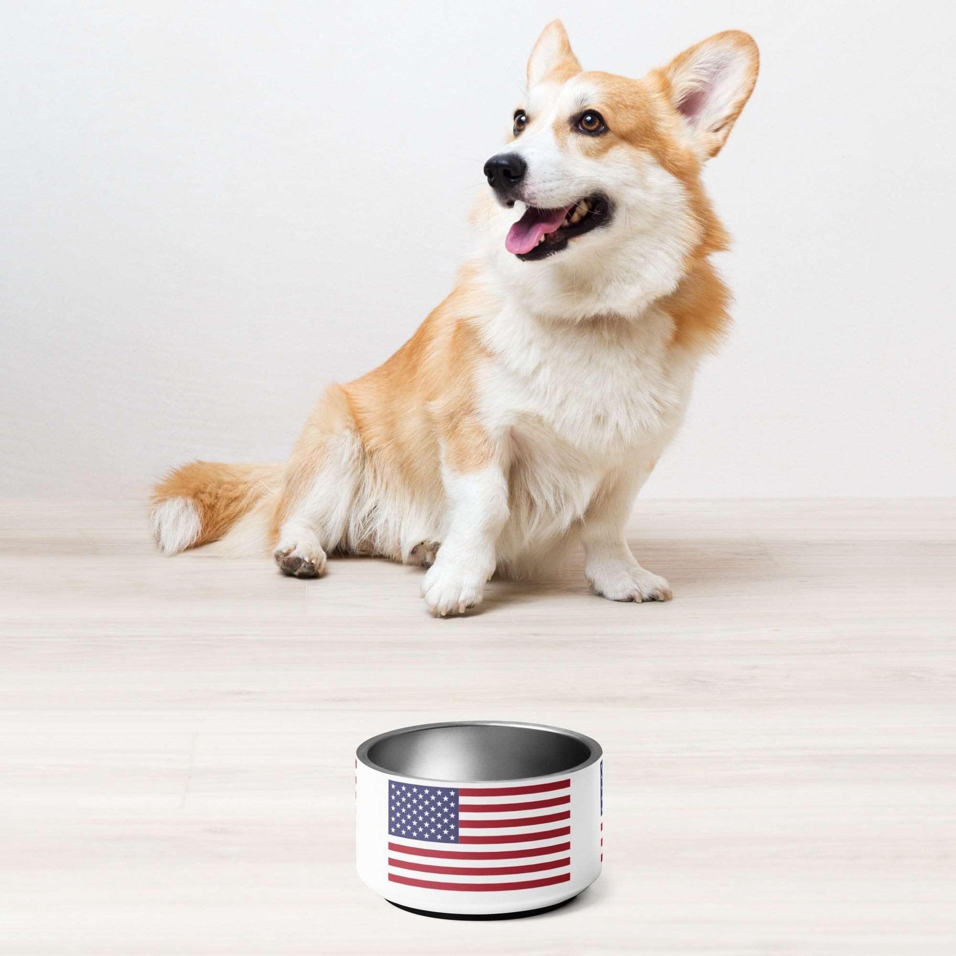 American Flag Pet Bowl / Old Glory Dog Dish - Lizard Vigilante