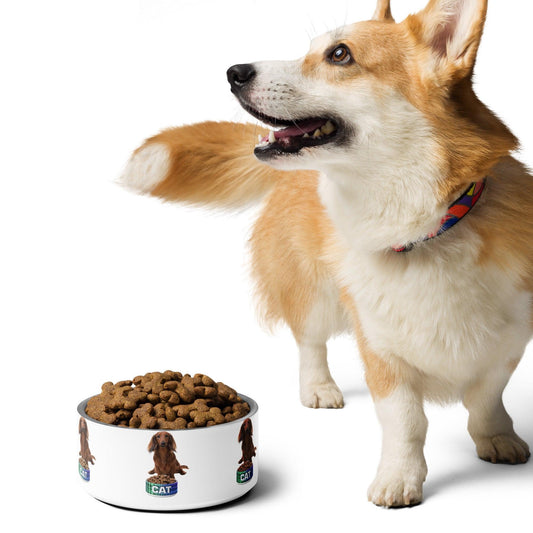 Dog With A Cat Bowl! Pet bowl - Lizard Vigilante