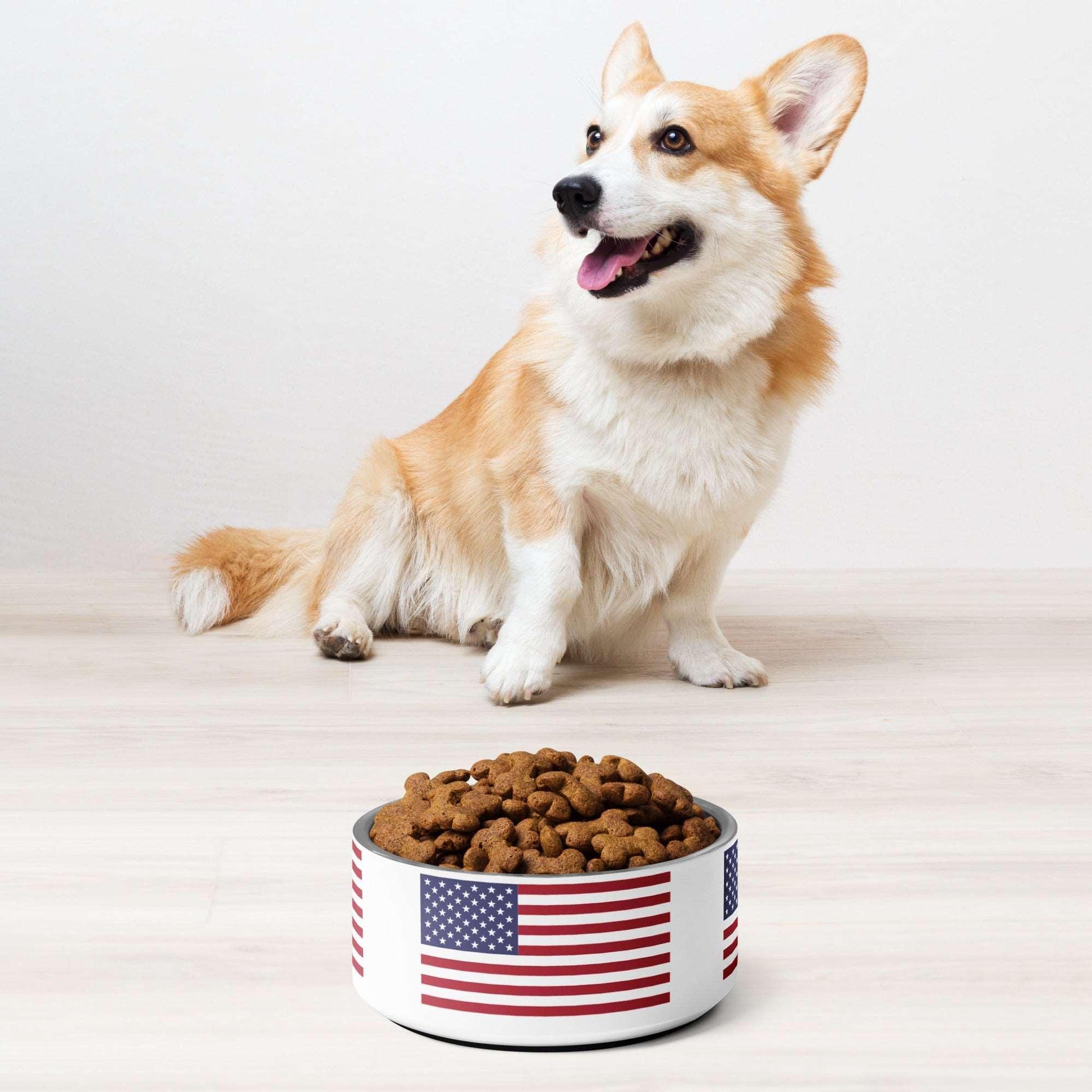 American Flag Pet Bowl / Old Glory Dog Dish - Lizard Vigilante