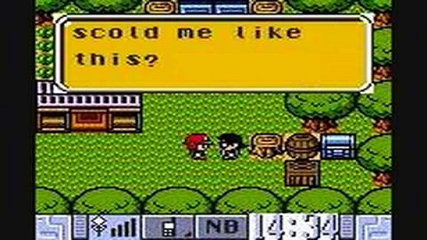 Pokemon Diamond GBC ROM Hack Video Game Custom Gameboy Color