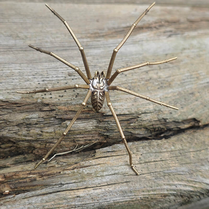 Punk Exaggerate Spider Alloy Earrings
