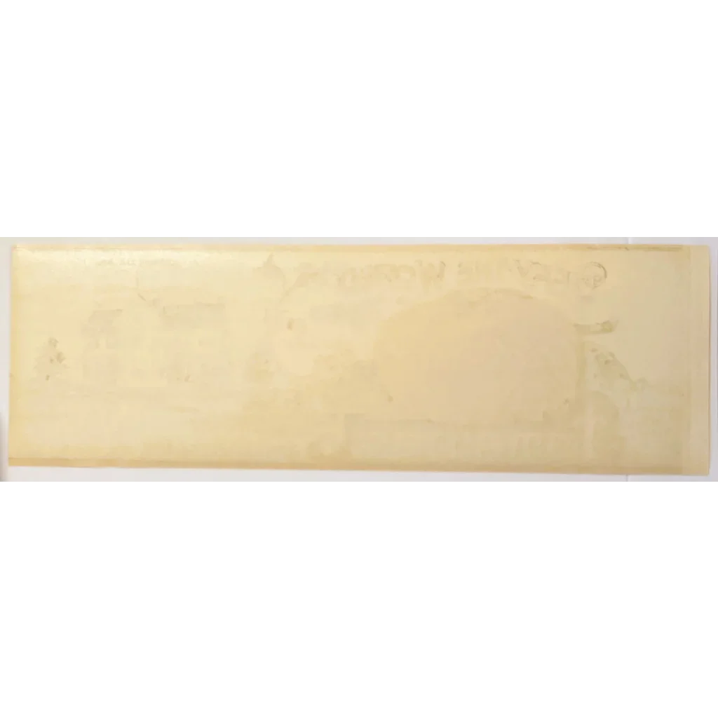 Rare 1910s Salem County Tomato Label Defies Time