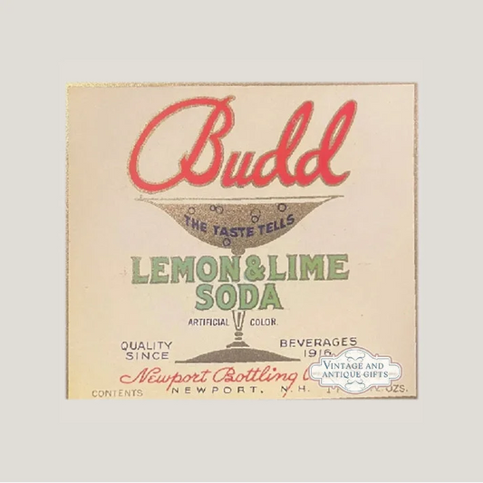Rare 1920s Newport Antique Vintage Lime Soda Label Bursts with Color