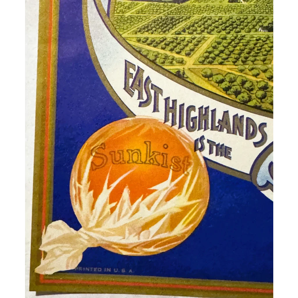 Rare Vintage 1930s Gold Buckle Orange Crate Label from California