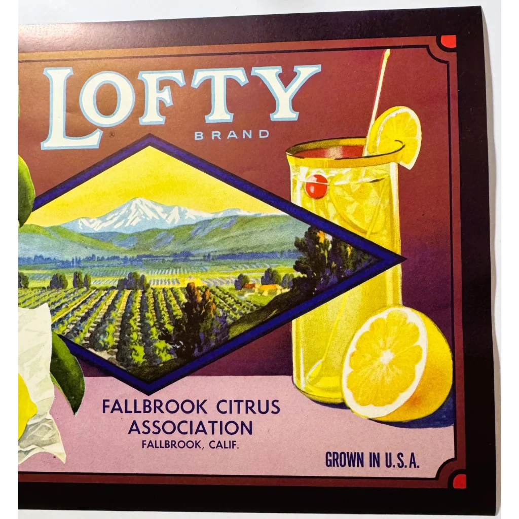 Rare 1930s Lofty Lemons Vintage Crate Label from Fallbrook