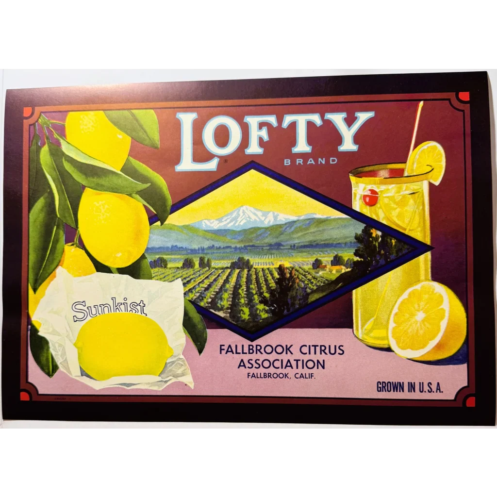 Rare 1930s Lofty Lemons Vintage Crate Label from Fallbrook