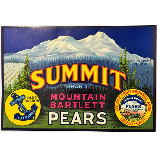 Rare 1930s Mountain Bartlett Pears Vintage Crate Label