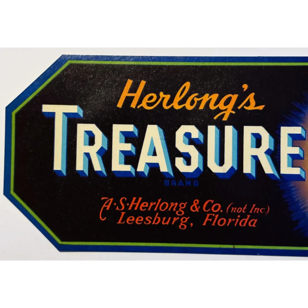 Rare 1930s Treasure Crate Label Herlong's Florida Orange Gem