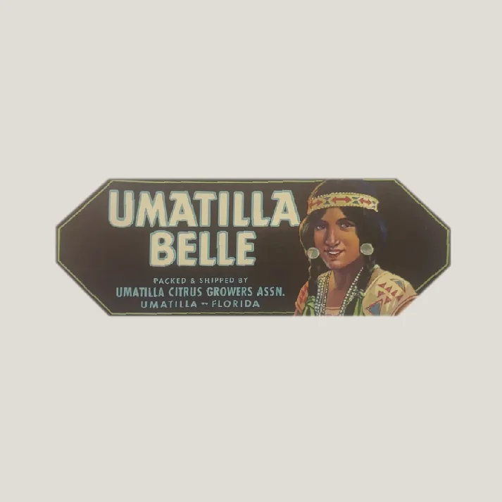 Rare 1930s Umatilla Crate Label Showcases Native American Beauty
