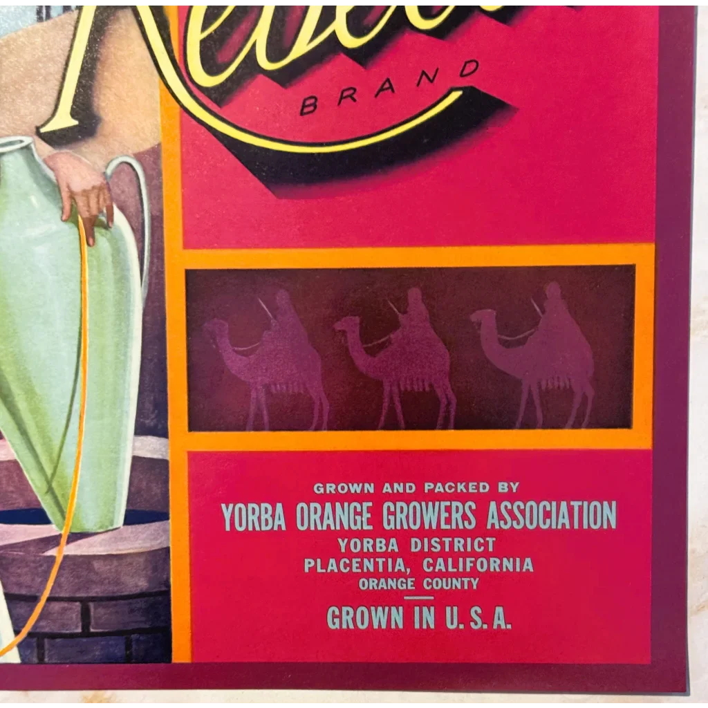 Rare 1930s Yorba Orange Growers Rebecca Label Unearthed