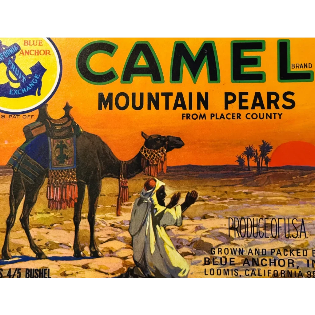 Rare 1940s Camel Brand Pears Label Brings Desert to California