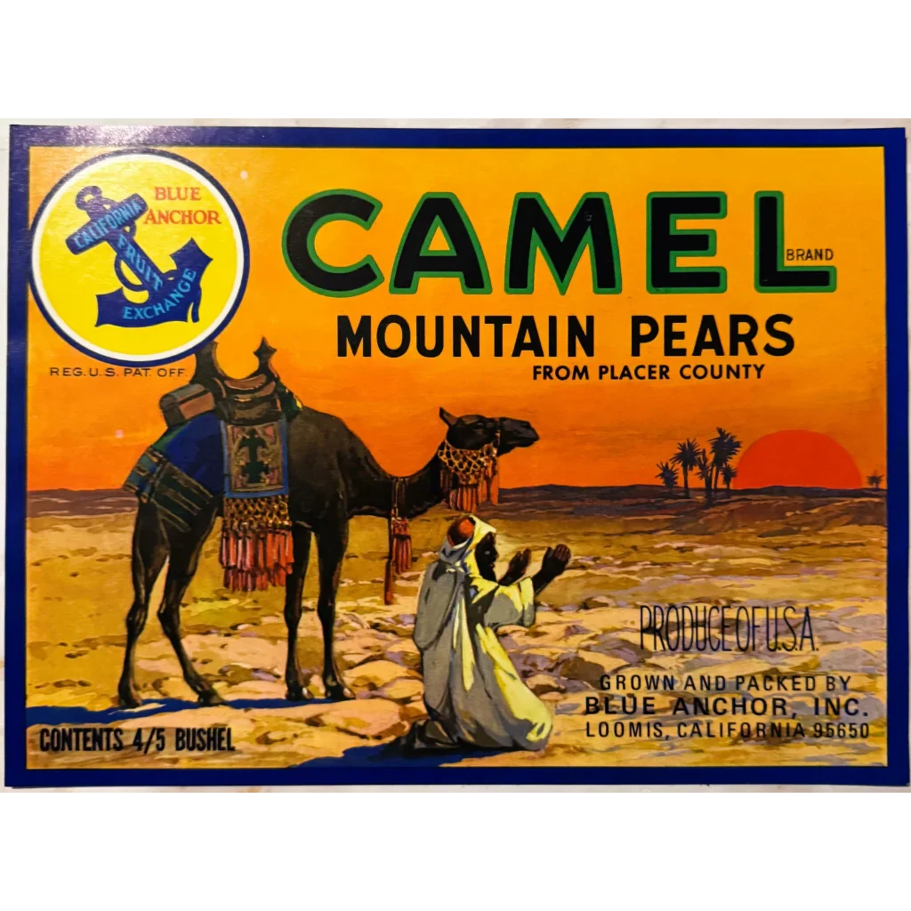 Rare 1940s Camel Brand Pears Label Brings Desert to California