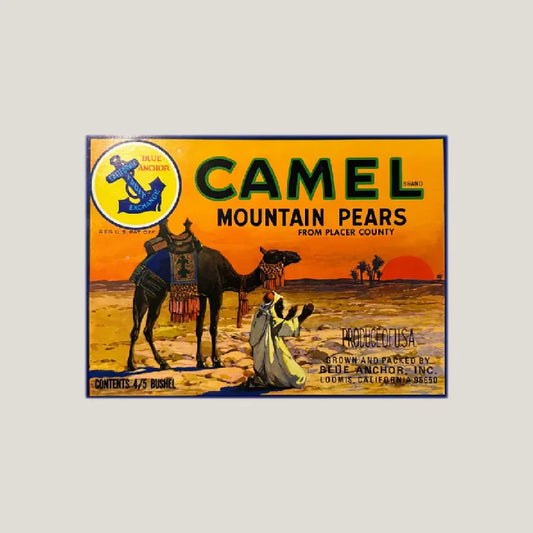 Rare 1940s Camel Brand Pears Label Brings Desert to California